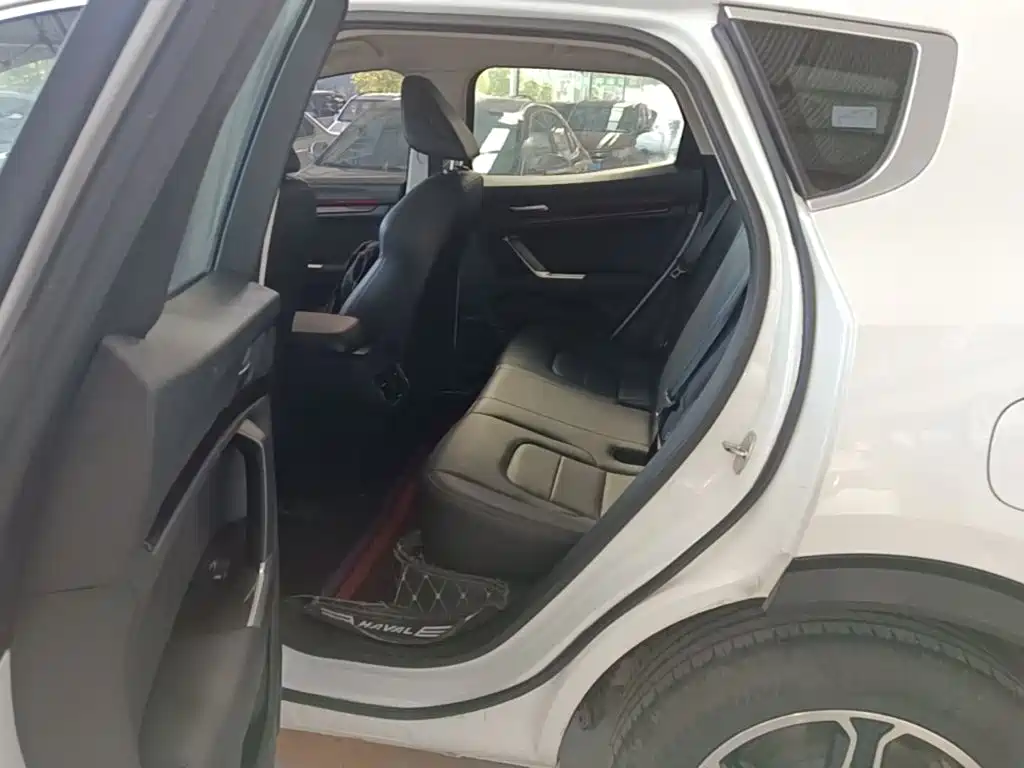 Haval H4 — миниатюра 17