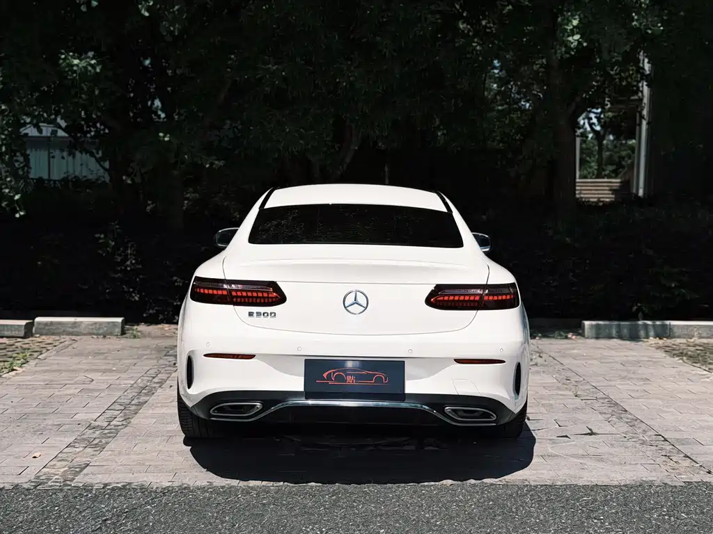 Mercedes-Benz E-Class E 2021 E 300