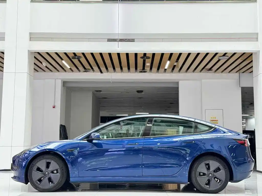Tesla Model 3 2021 3D6