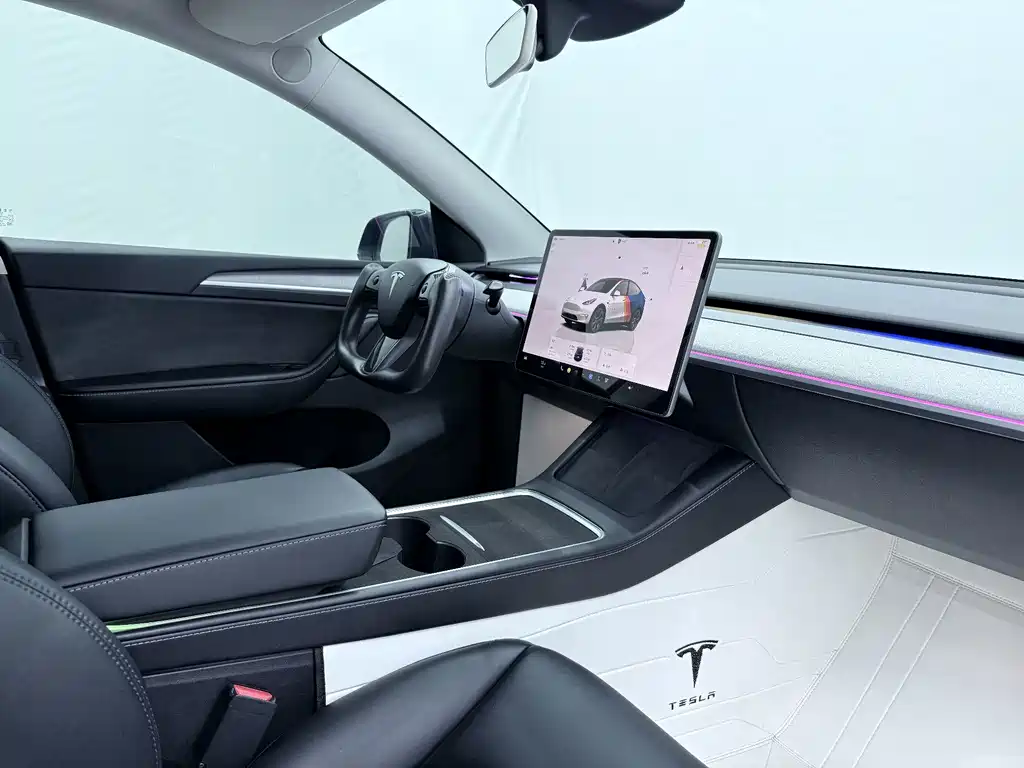 Tesla Model Y — миниатюра 9