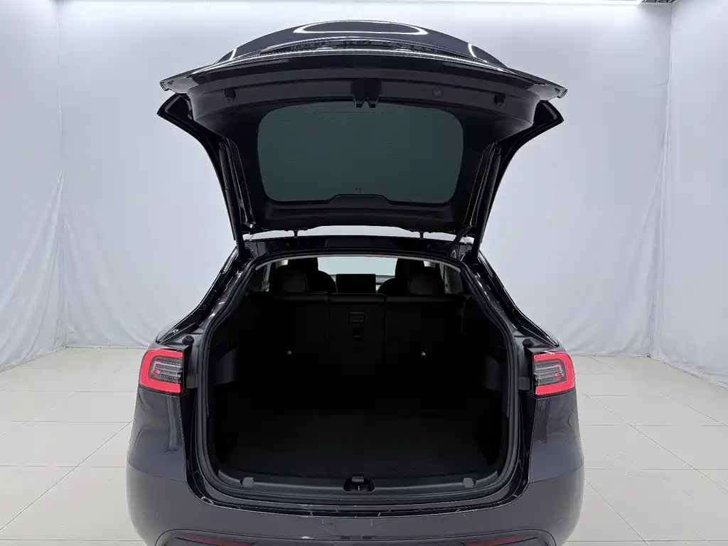 Tesla Model Y — миниатюра 15