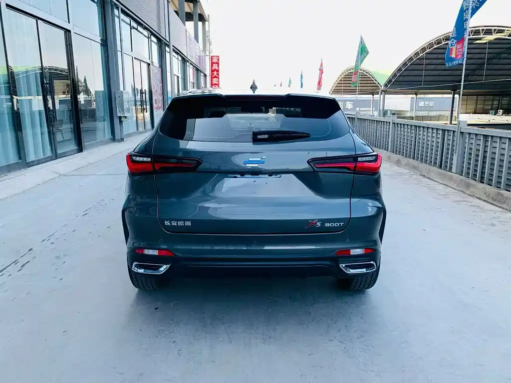 Oshan Oushang X5 — миниатюра 5