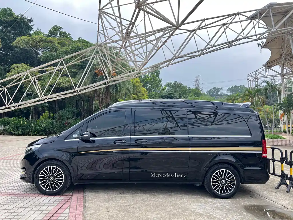 Mercedes-Benz V-Class V 260 L Premium Extended Edition China VI, фото 17