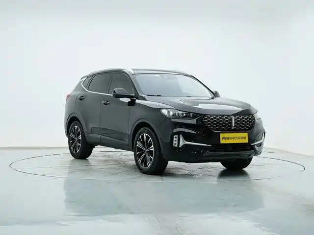 Wey Wey VV6 — миниатюра 3