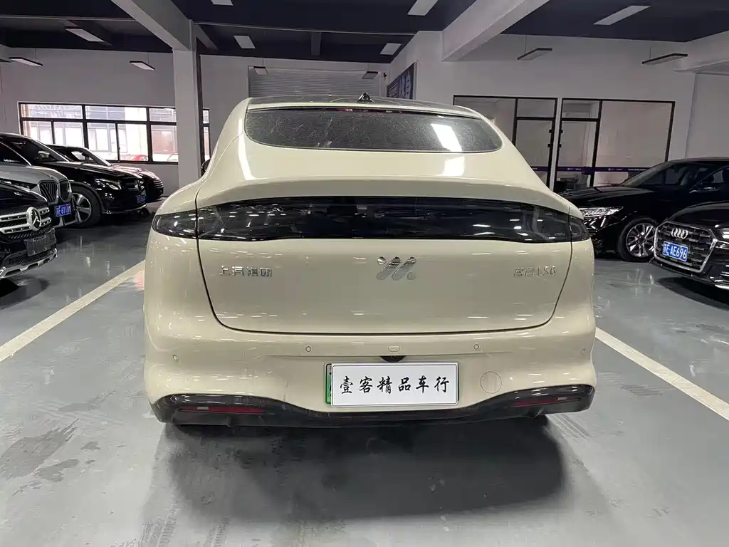 ZHIJI AUTOMOBILE ZHIJI LS6