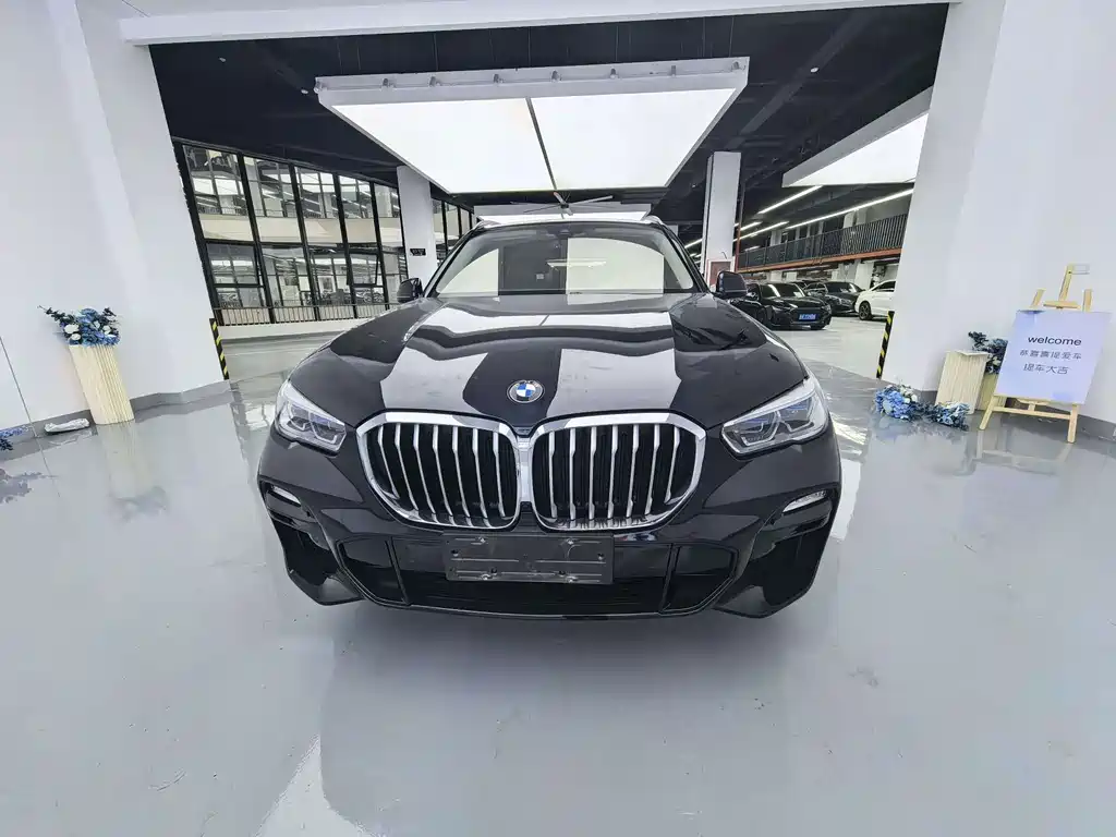 BMW X5 (Import) — миниатюра 2