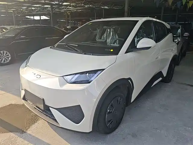 2026 BYD Seagull