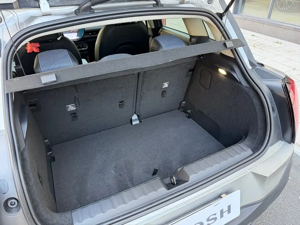 MINI MINI ACEMAN EV — миниатюра 16