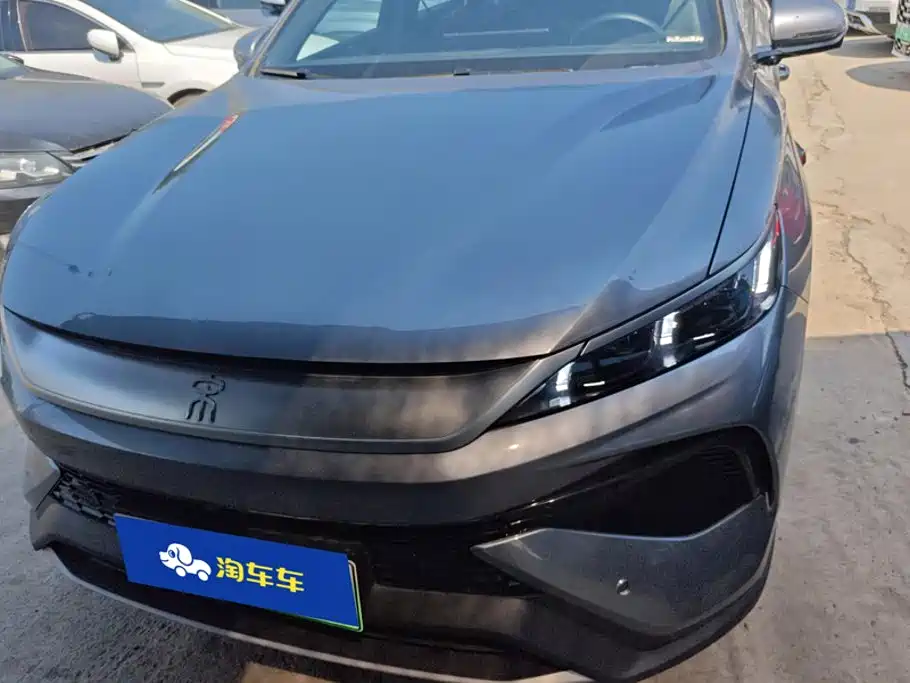 BYD Pro New Energy — миниатюра 2