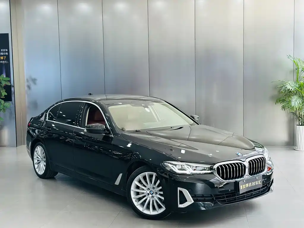 BMW 5 Series — миниатюра 3