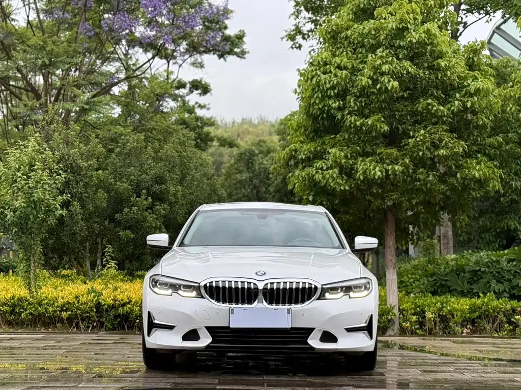 BMW 3 Series 3 2020 325Li
