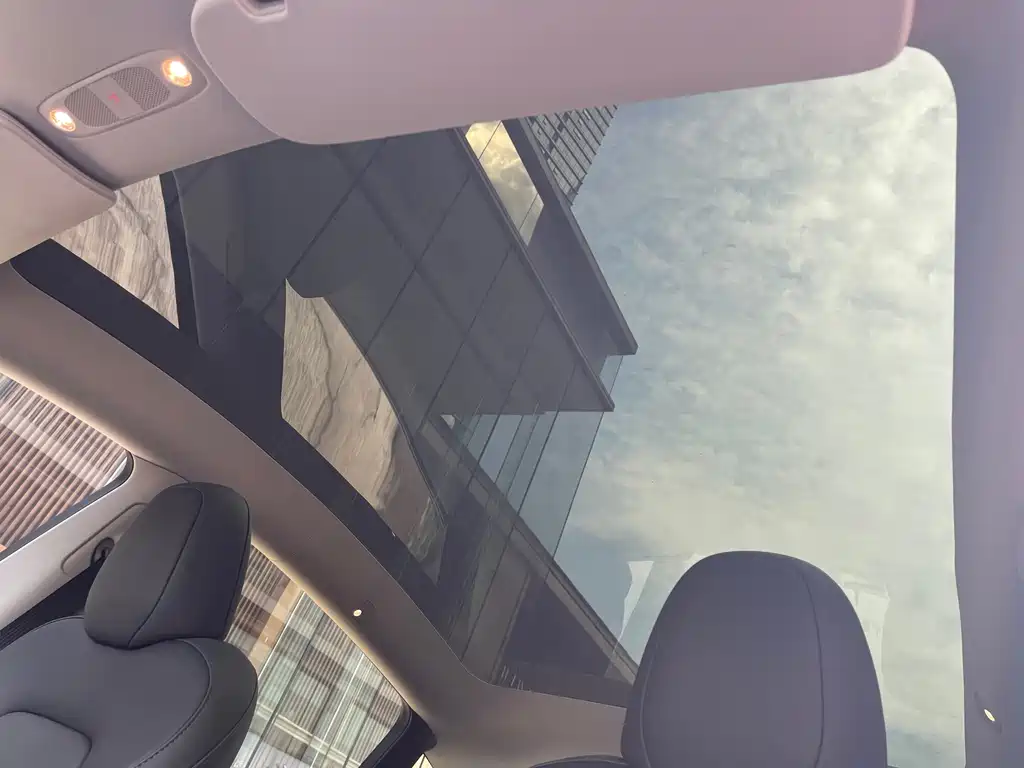 Tesla Model Y — миниатюра 22
