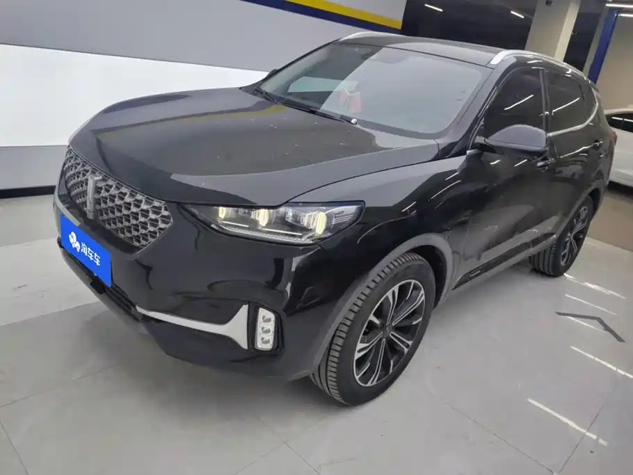 Wey Wey VV6