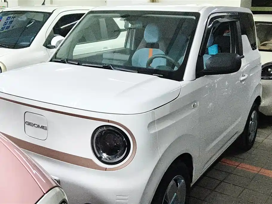 Galaxy Panda 2024