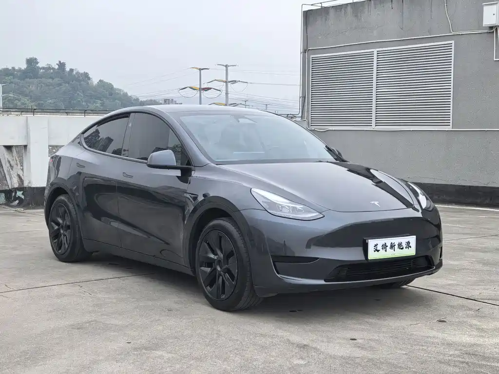 Tesla Model Y — миниатюра 3