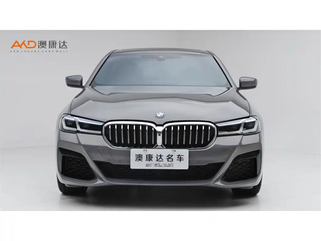 BMW 5 Series (Import) — миниатюра 2
