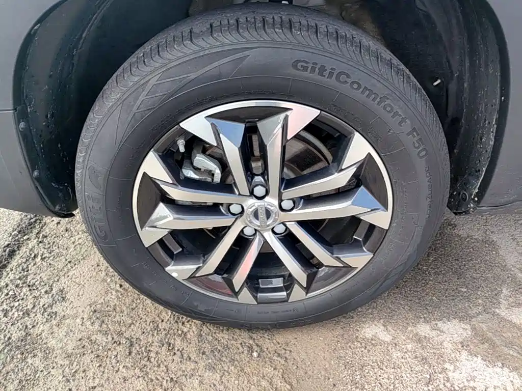 Haval Big Dog — миниатюра 23
