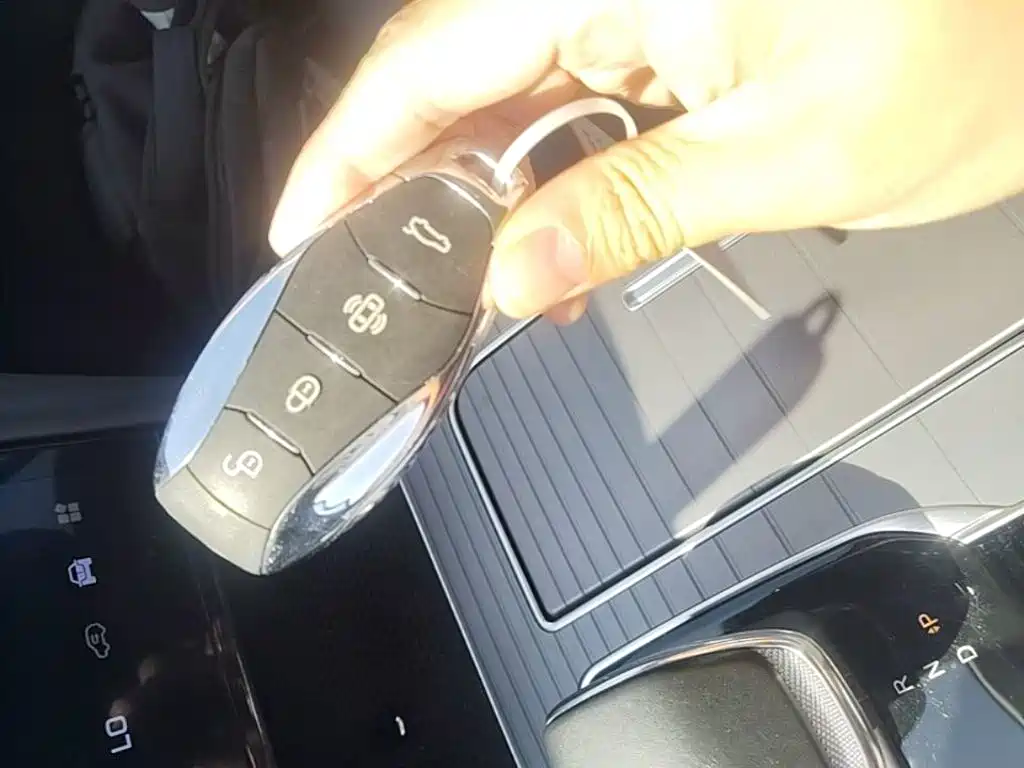 Hongqi Hongqi HS7 PHEV — миниатюра 9