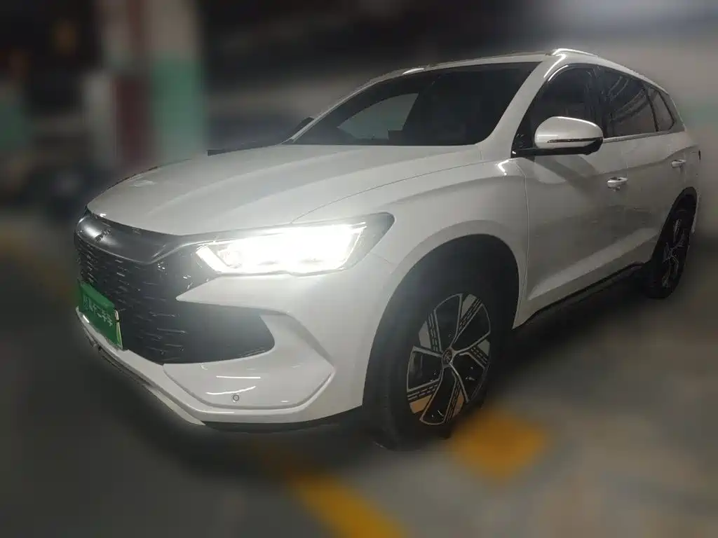 BYD Pro New Energy