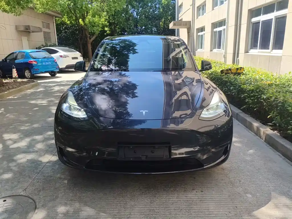 Tesla Model Y — миниатюра 3
