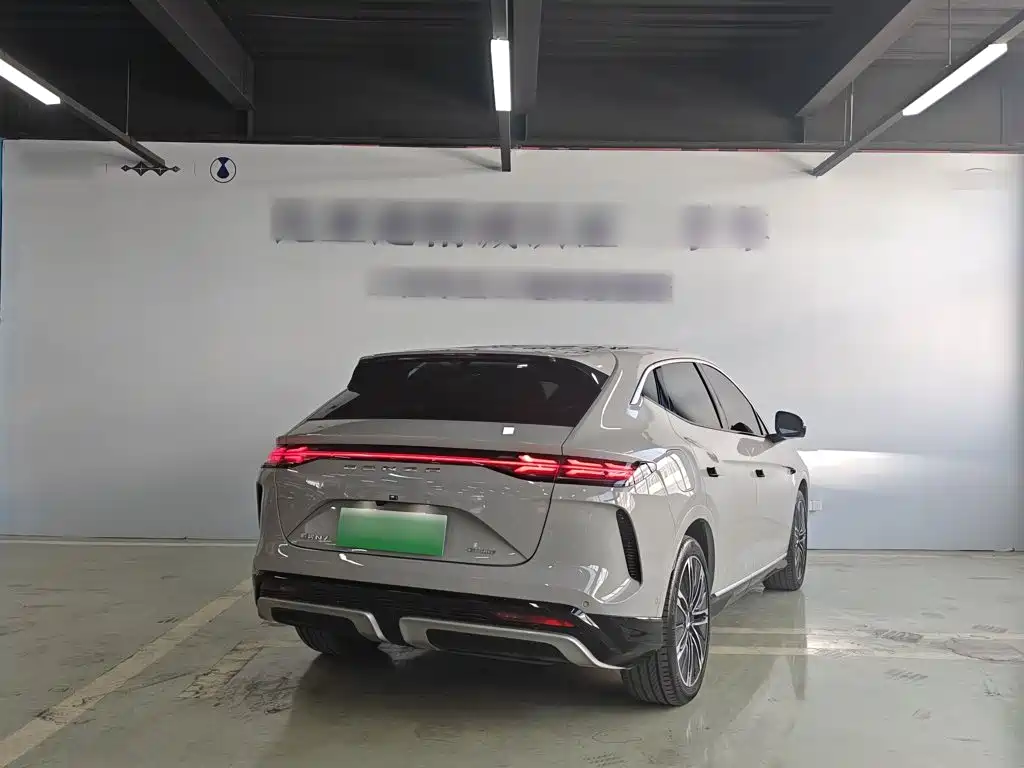 Denza Denza N7 — миниатюра 6