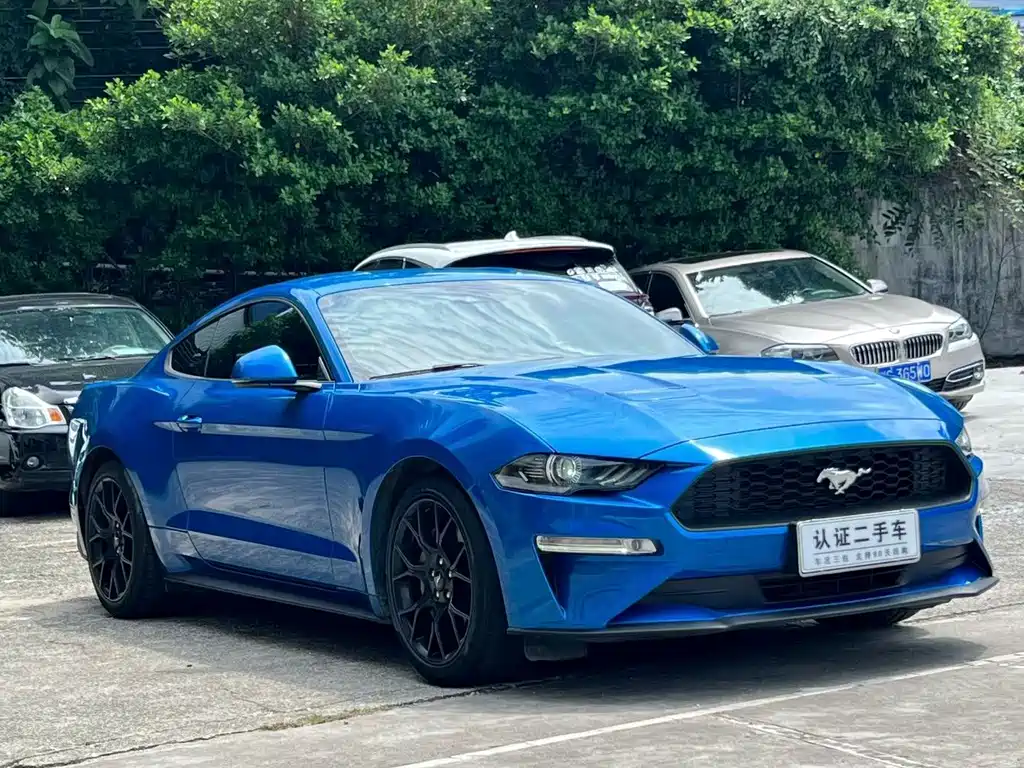 Ford Mustang — миниатюра 3
