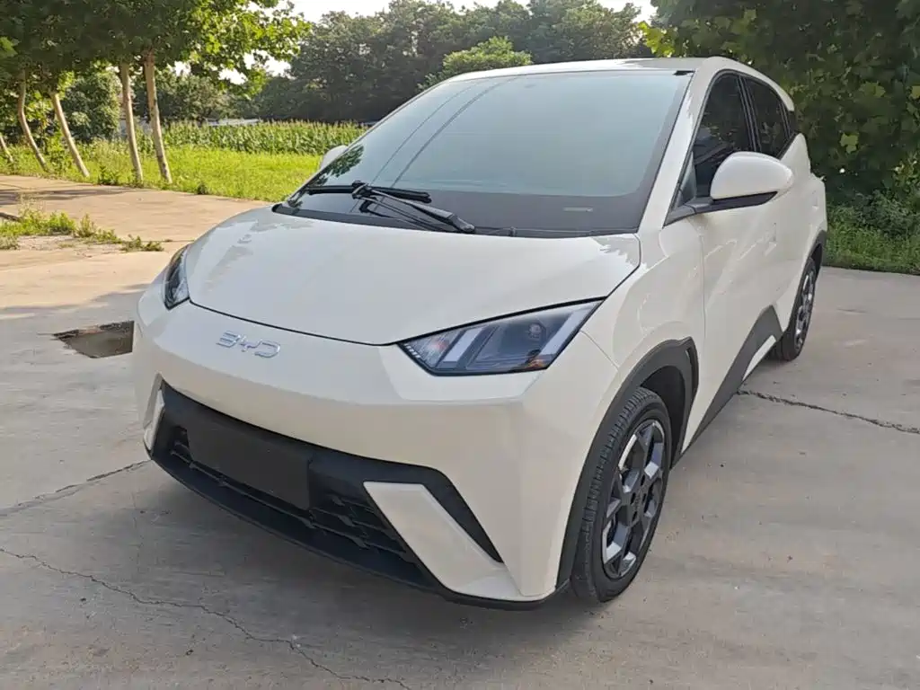 BYD Seagull 2025 305km Freedom