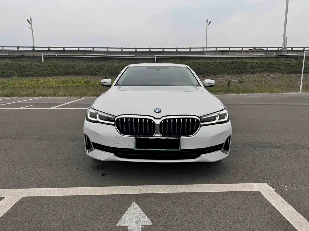 BMW 5 Series New Energy — миниатюра 2