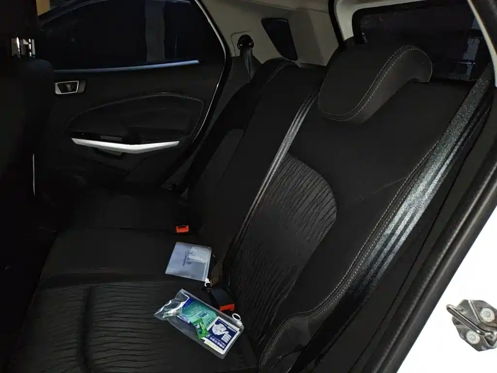 Ford Ecosport — миниатюра 15