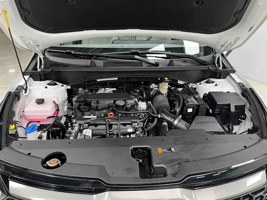 KIA LION PLATINUM EXPANDS THE WORLD