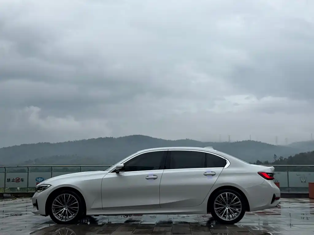 BMW 3 Series 3 2020 325Li