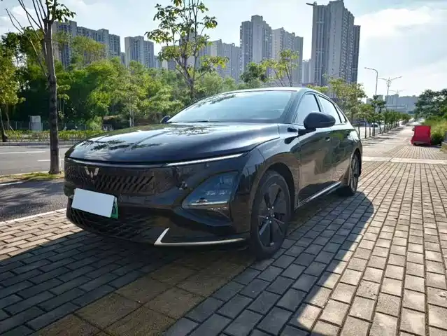Wuling Starlight