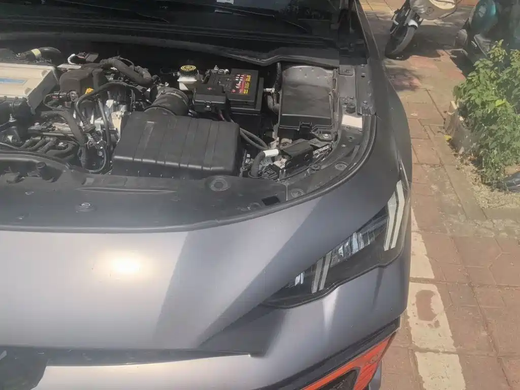 GAC Motor Shadow Leopard — миниатюра 22