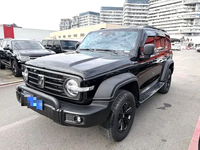 2021 TANK 300