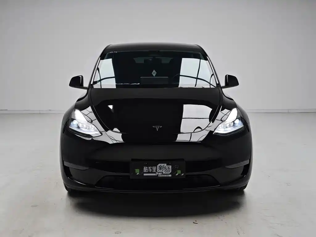 Tesla Model Y — миниатюра 2