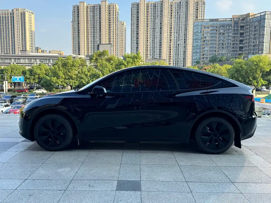 Tesla Model Y — миниатюра 2