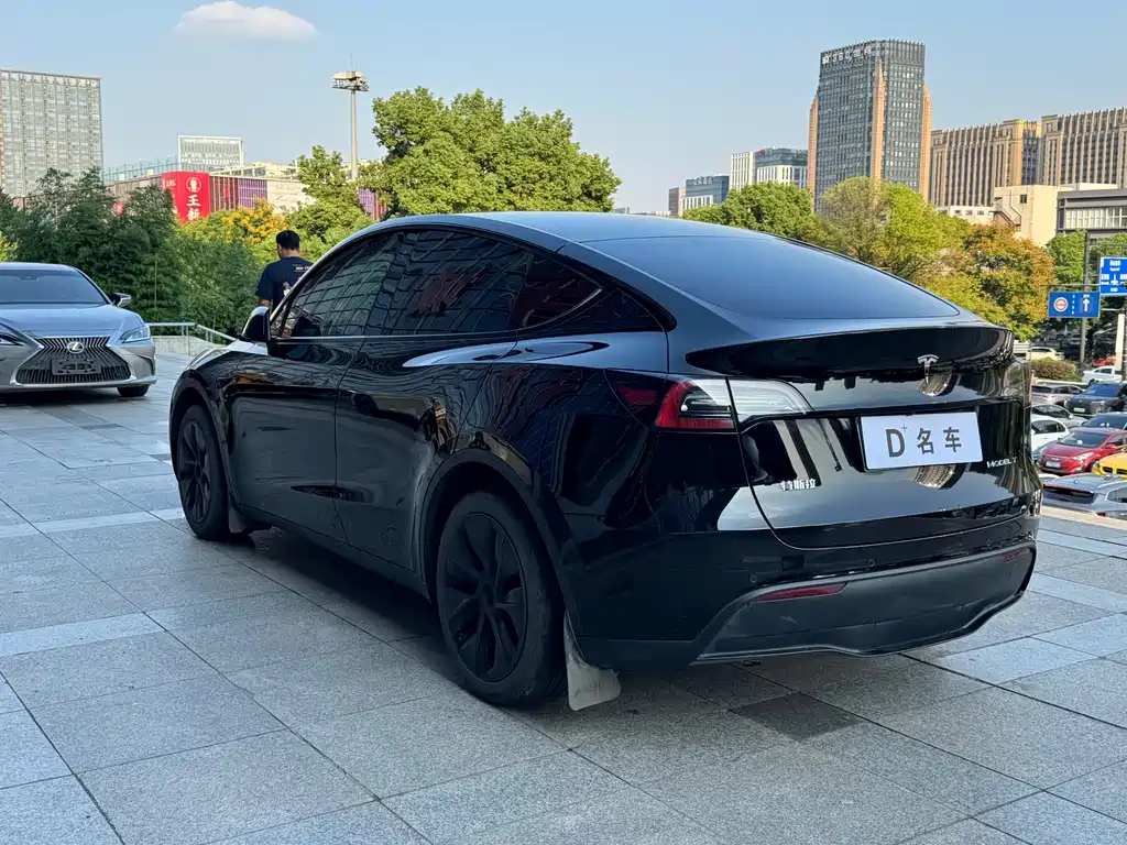 Tesla Model Y — миниатюра 9