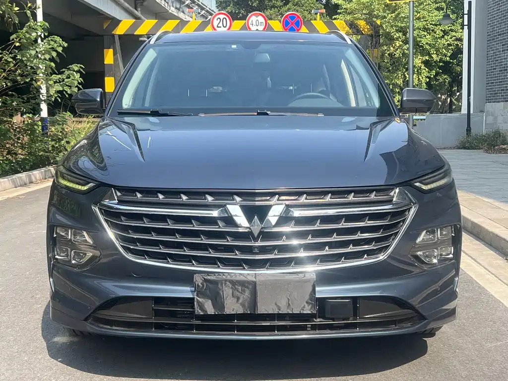 WULING WULING CAPGEMINI