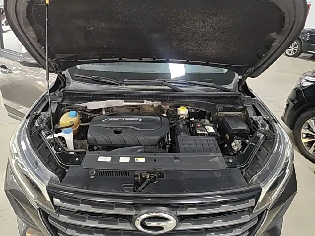 GAC Motor Trumpchi GS4 — миниатюра 20