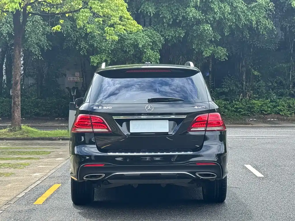 Mercedes-Benz 奔驰GLE(进口) — миниатюра 13