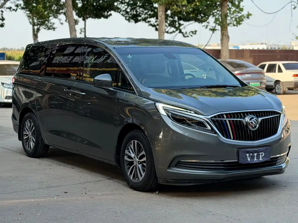 Buick GL8 — миниатюра 3