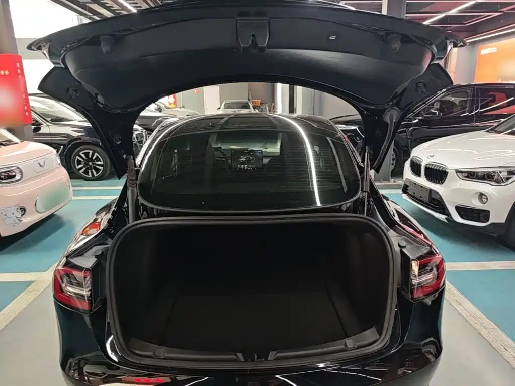 Tesla Model 3 — миниатюра 19