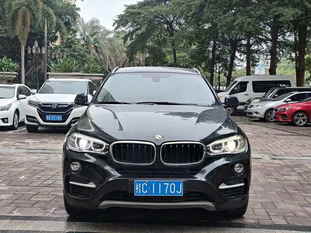 BMW X6 — миниатюра 2