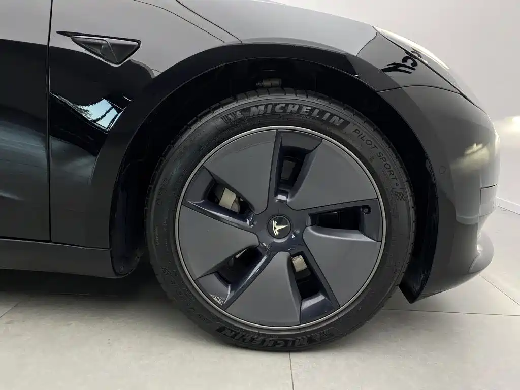 Tesla Model 3 — миниатюра 8