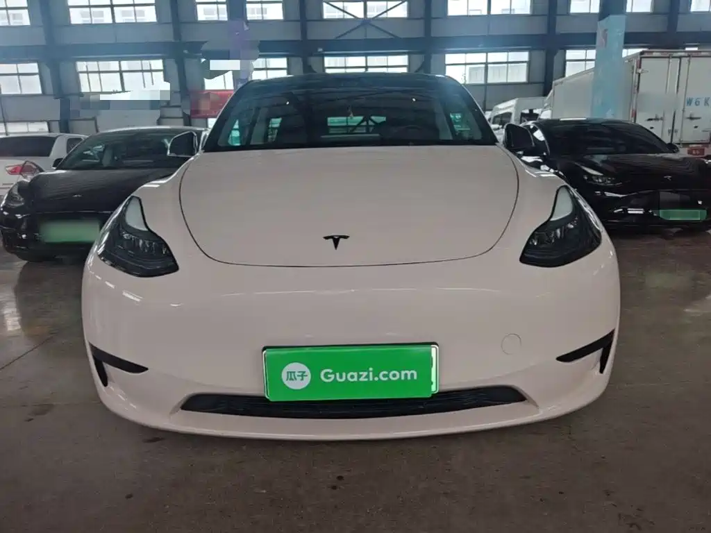 Tesla Model Y — миниатюра 3