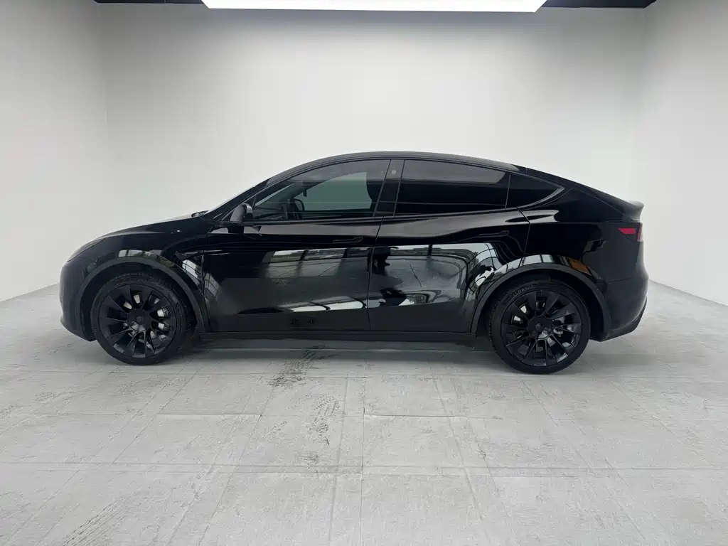 Tesla Model Y — миниатюра 6