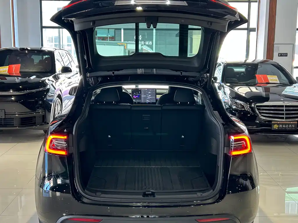 Tesla Model Y — миниатюра 25