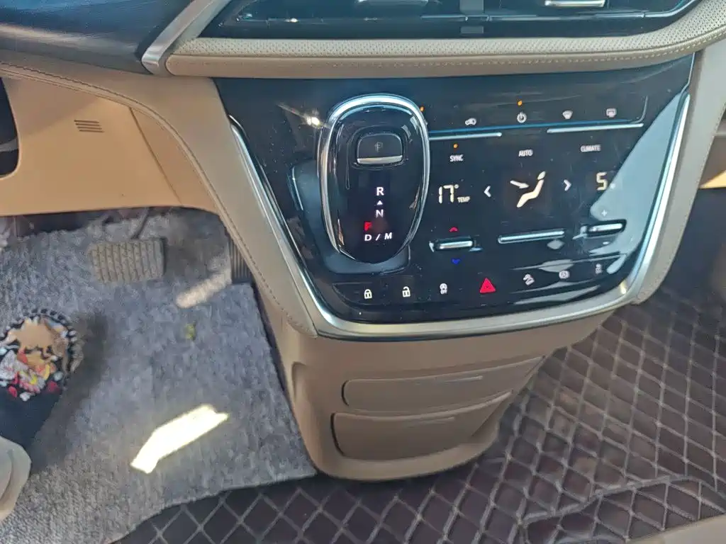 Buick GL8 — миниатюра 10