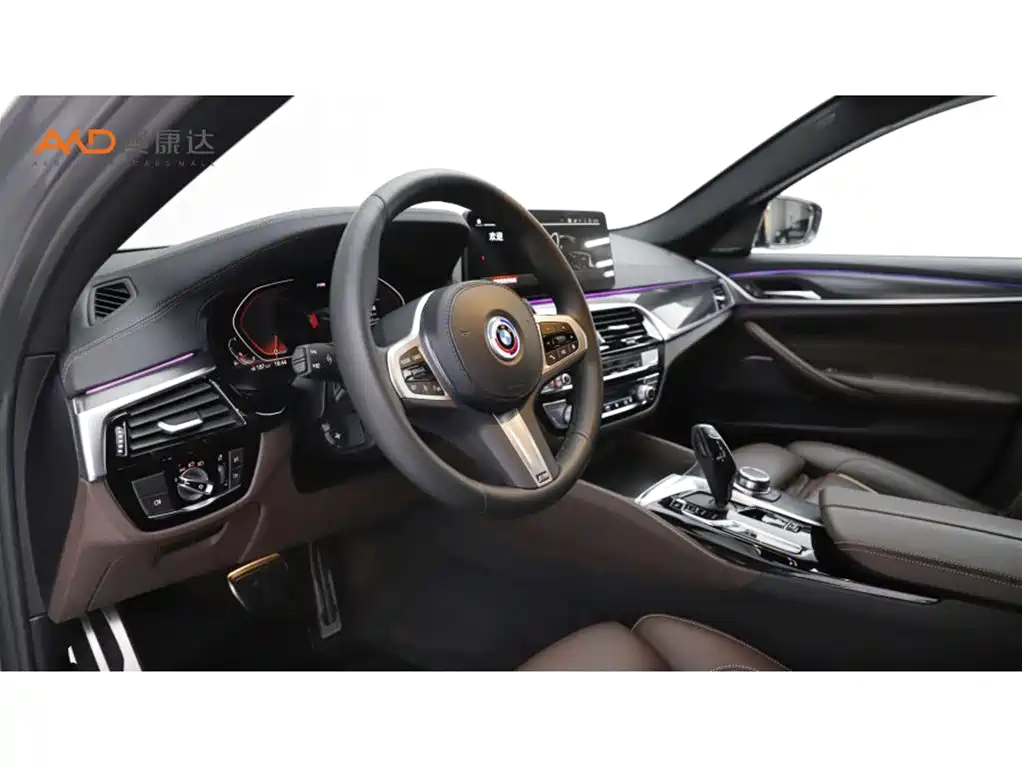 BMW 5 Series (Import) — миниатюра 6