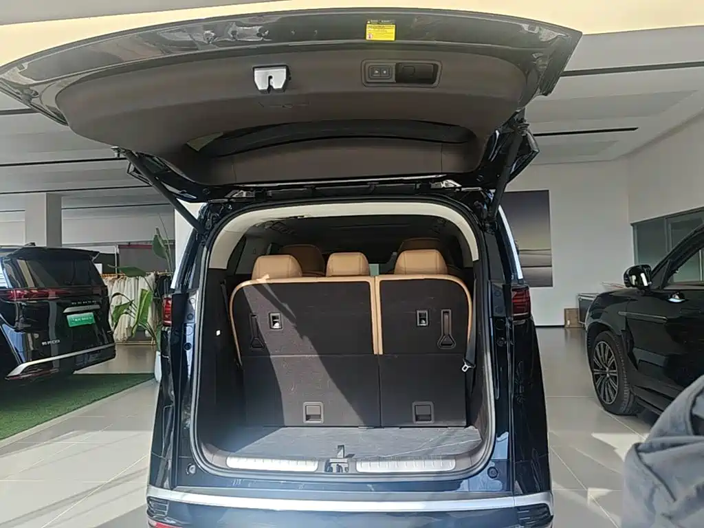 Denza Denza D9 — миниатюра 19